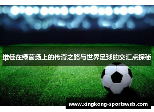 维佳在绿茵场上的传奇之路与世界足球的交汇点探秘